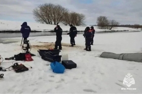 «Лиза Алерт» просит помощи в поисках пропавших в Звенигороде детей