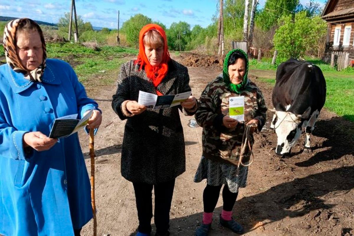 Теплая весна ускорила нашествие мошек и клещей в Ульяновской области