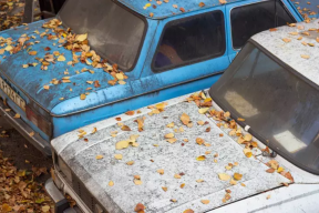 Muscovites were offered an original way to get rid of car junk