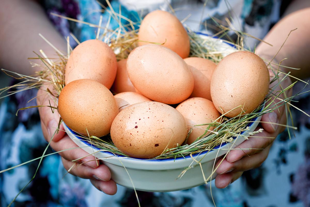 Ученые подсчитали, сколько яиц можно съесть в неделю без вреда здоровью