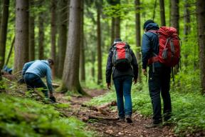 Следствие ищет убийцу: что известно о гибели 11-летней девочки в Темрюкском районе