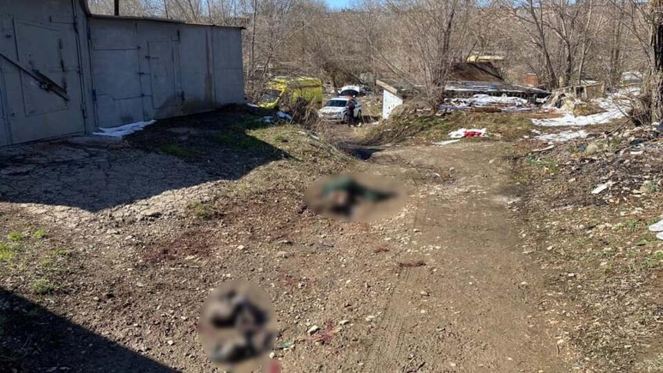 Бастрыкин взял на личный контроль уголовное дело по факту гибели ребенка от бродячих собак в Оренбурге