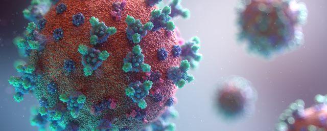 В Воронежской области обнаружены еще 276 заразившихся коронавирусом