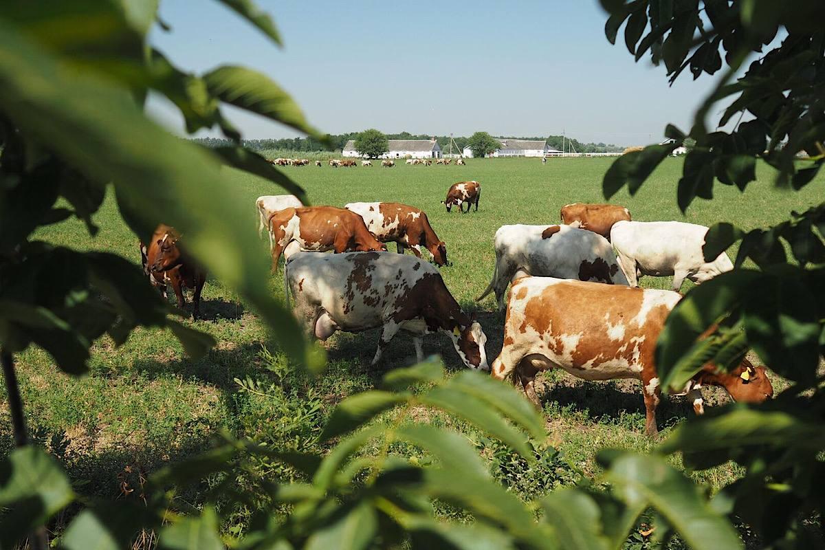 В Мордовии объявлен старт шестой волны проекта «Школа фермера»