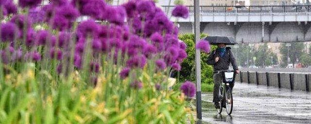 Жителей Москвы предупредили о дожде в среду