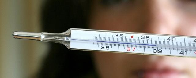 Ученые: Высокая температура тела активирует работу иммунной системы