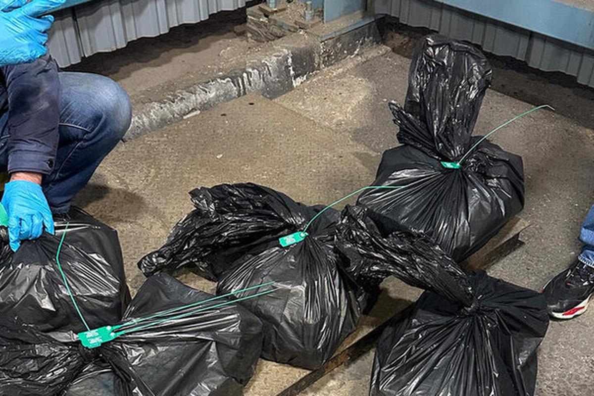 Стоимость перехваченной в Петербурге партии кокаина оценили в полмиллиарда рублей