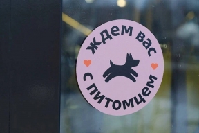 Стали известны правила отдыха в отелях с домашними питомцами