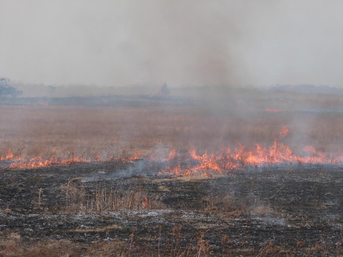 Власти Красноярского края назвали основную причину возникновения пожаров в регионе
