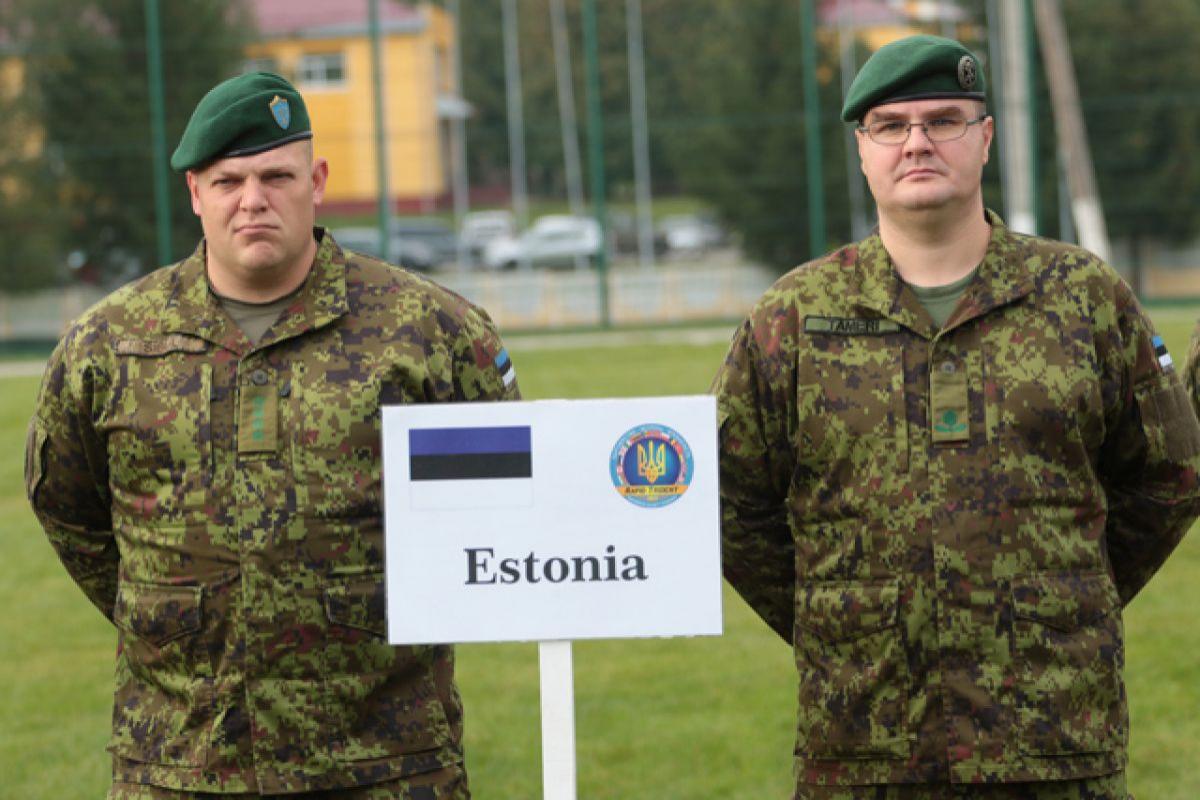 Эстония не будет посылать свои войска на запад Украины