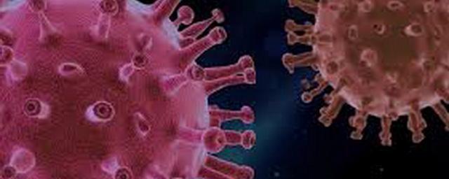 В Удмуртии за сутки подтверждены еще 103 случая коронавируса