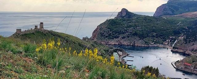 Севастополь 26.06 2024. Сделано в Севастополе.