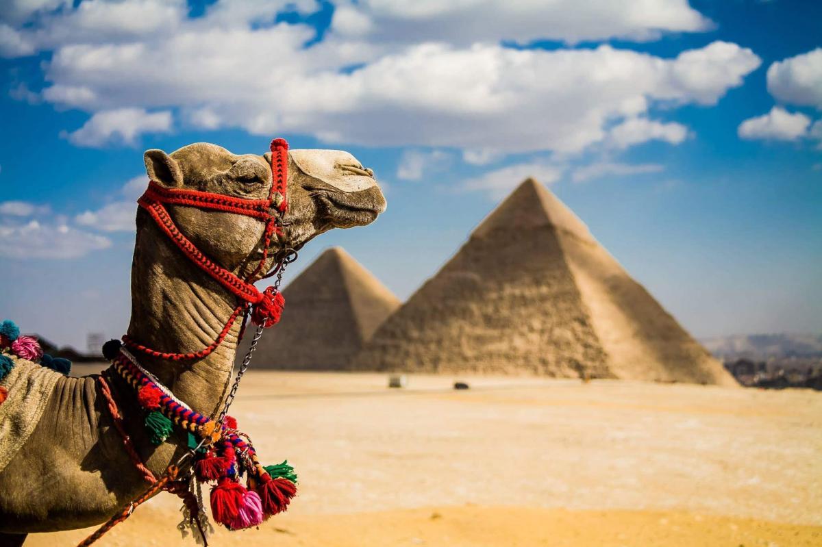 Эксперты прогнозируют высокие цены на курорты Египта из-за малого числа рейсов