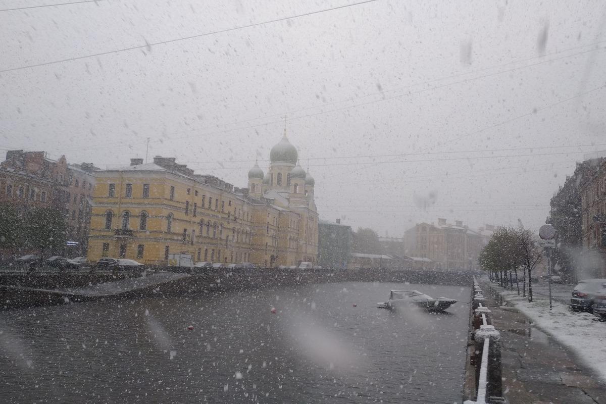 Питер погода сейчас фото