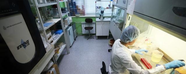 В Алтайском крае выписали первых двух пациентов с COVID-19