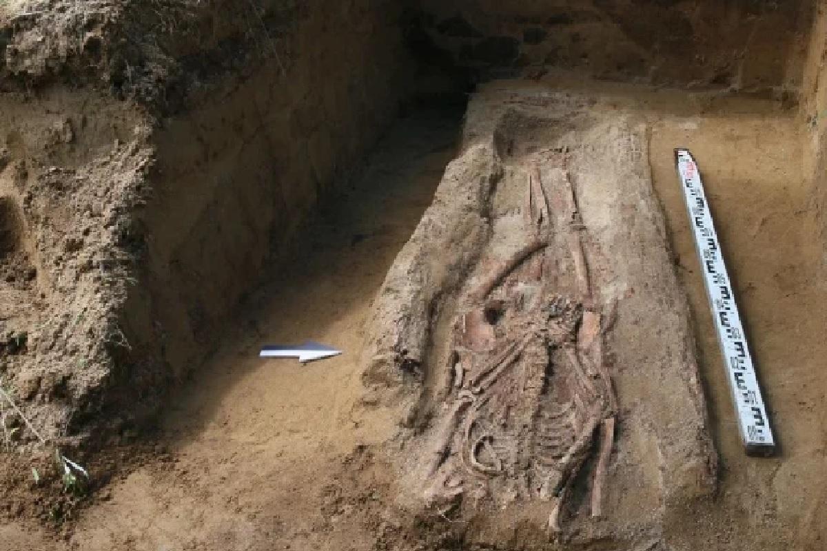 Фермеры из Амурской области нашли в поле старинный гроб