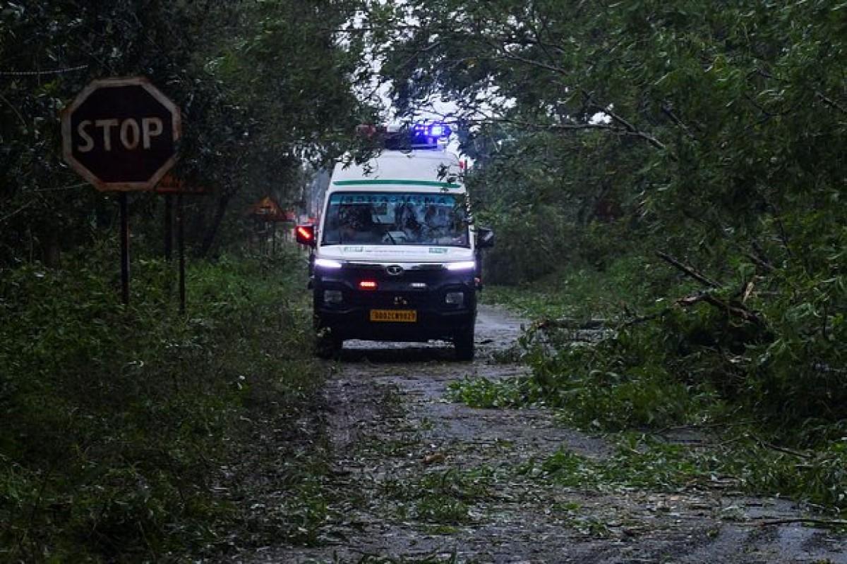 В Индии мужчина погиб, спасая жену от пчел