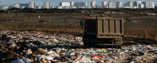 Five waste processing complexes will be built in St. Petersburg and the Leningrad region