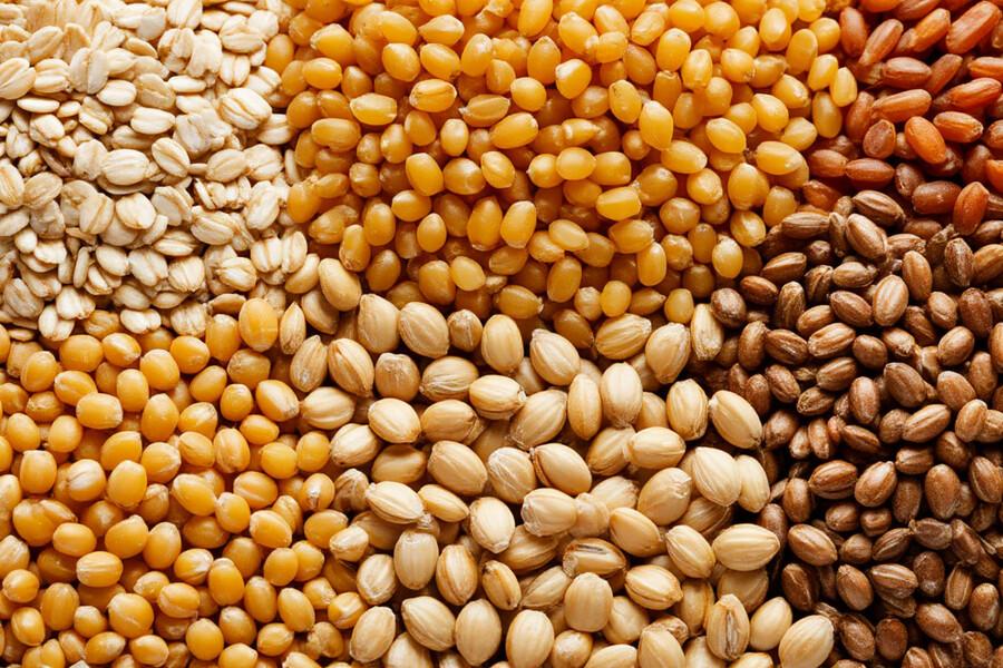 Качество зерна в Орловской и Курской области: итоги мониторинга Россельхознадзора