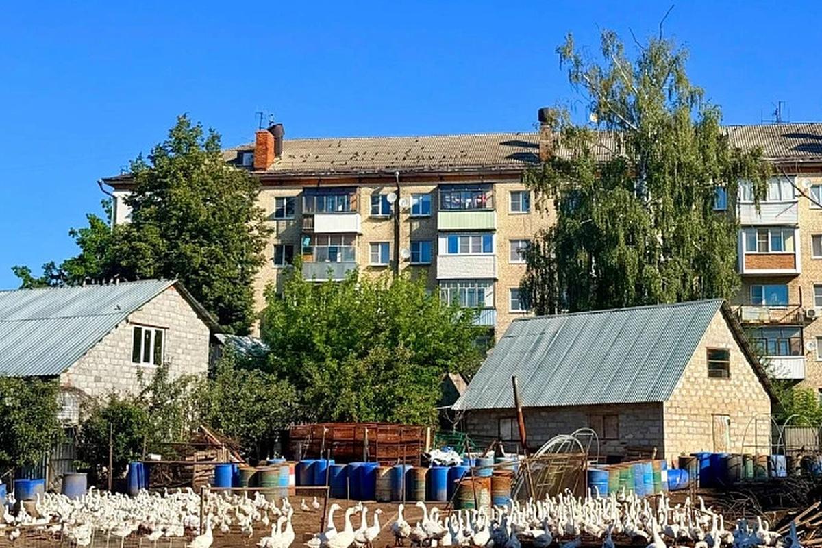 В Тульской области женщина организовала птицеферму прямо под окнами многоэтажек