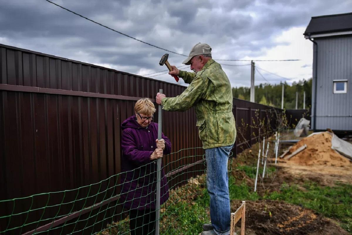Новосибирским дачникам запретят устанавливать заборы на участках