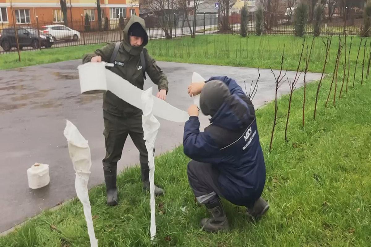 Во Владимире специалисты приступили к утеплению городских саженцев перед предстоящей зимой