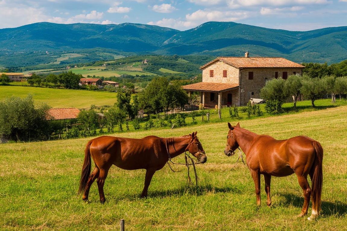 Северная Осетия получила рекордные гранты на агрофермы