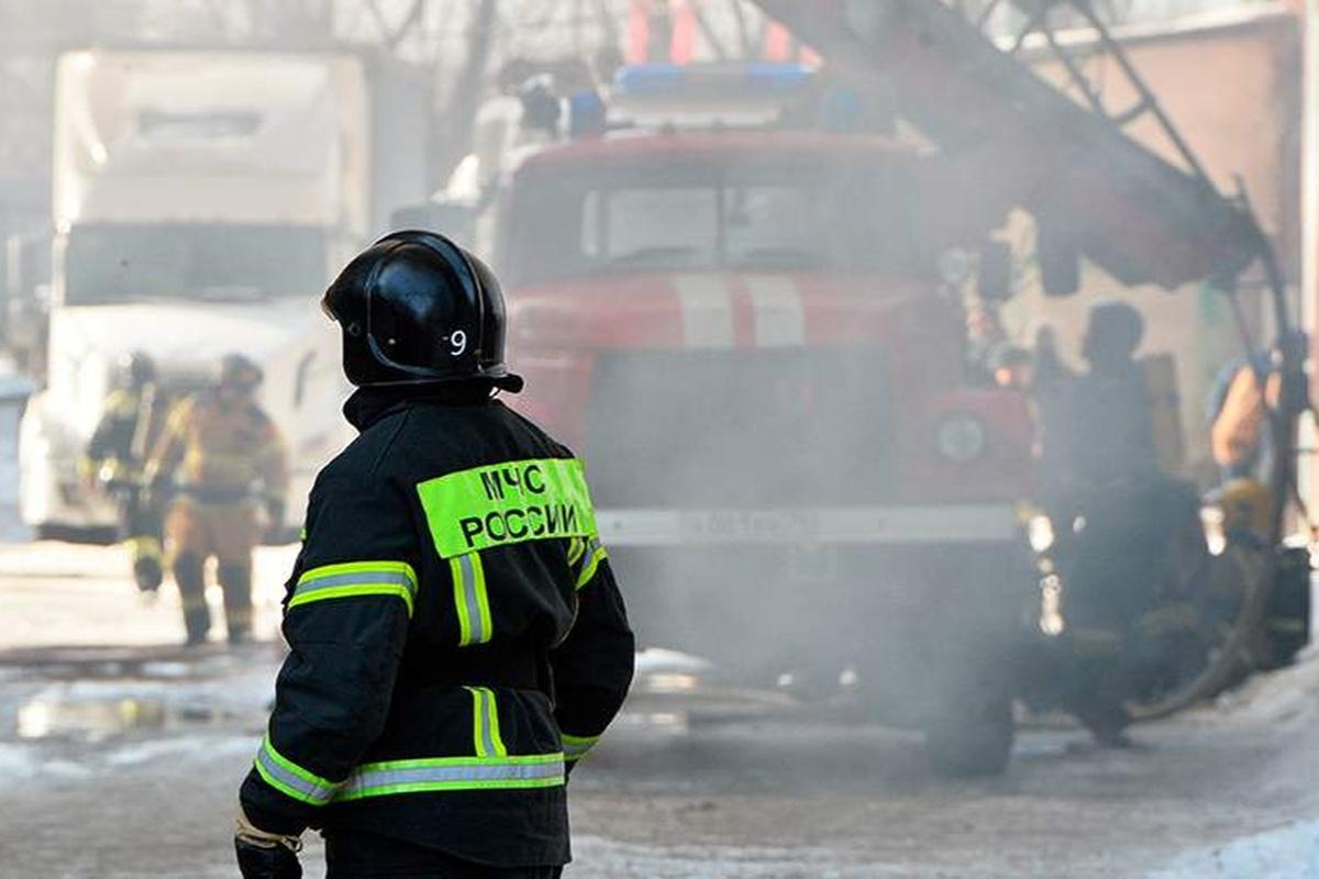 МЧС: в Новгородской области во время пожара погибла пенсионерка