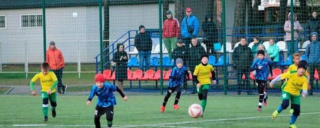 Раменчане успешно выступили на первенстве Московской области по футболу среди детских команд