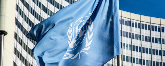 ООН не подтвердила участие Зеленского в заседании Совета безопасности по Украине 24 февраля