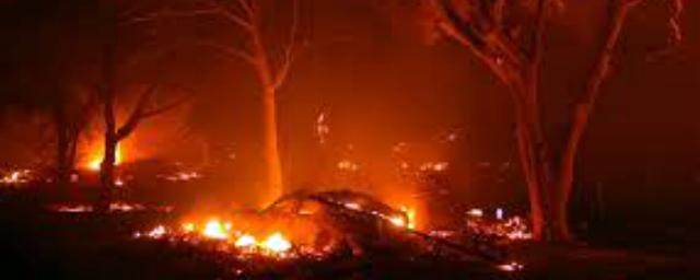 По меньшей мере три человека погибли в результате лесного пожара в Калифорнии