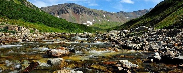 Ученые: Флора Лагонакского нагорья меняется из-за потепления