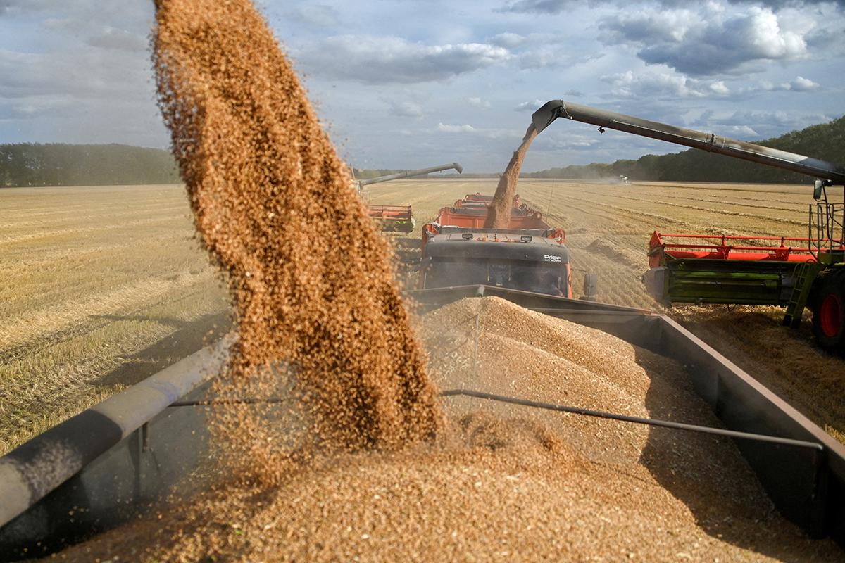 В Турции высказались об альтернативе зерновой сделки