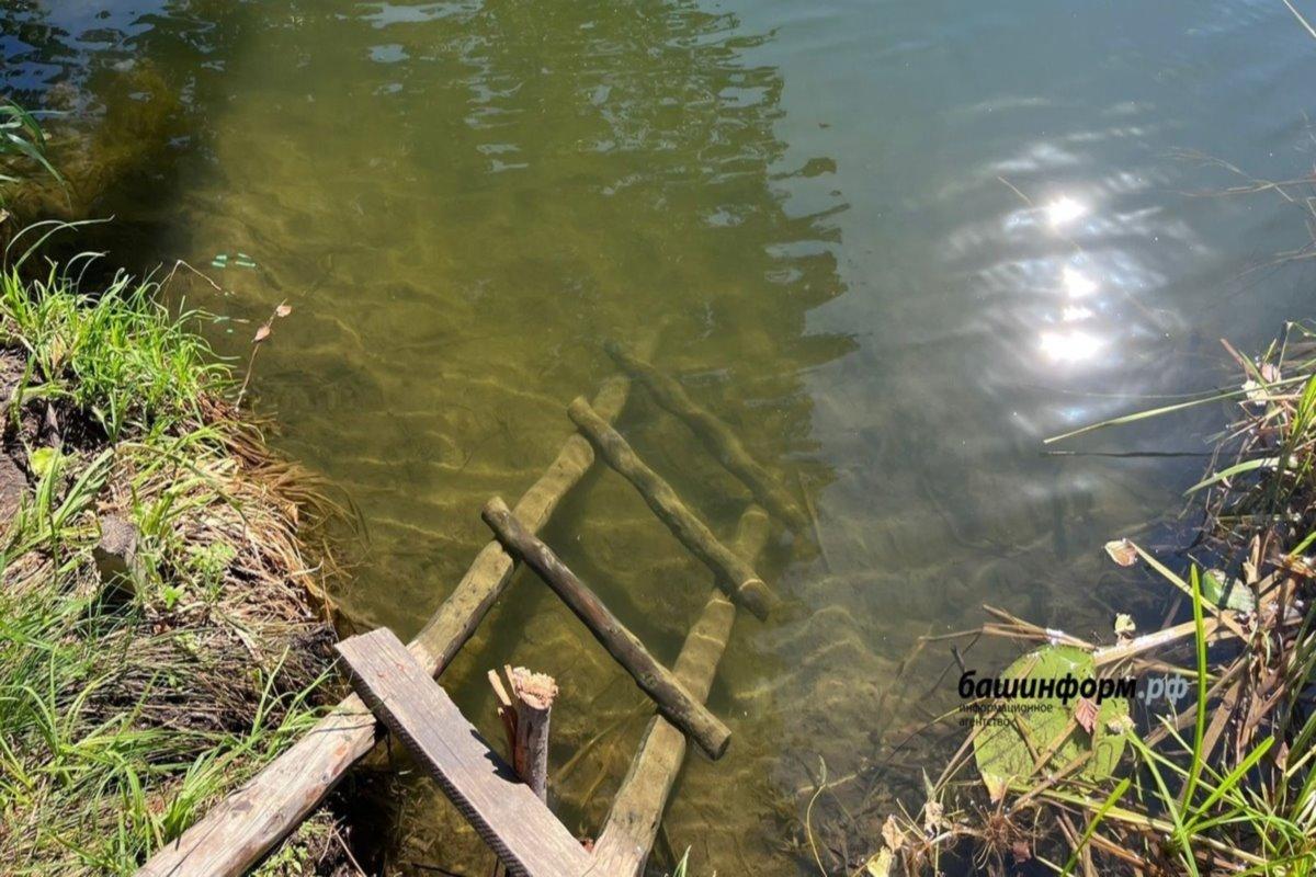 В Башкирии рыбак, спасаясь от медведя, сломал руку и потерял телефон