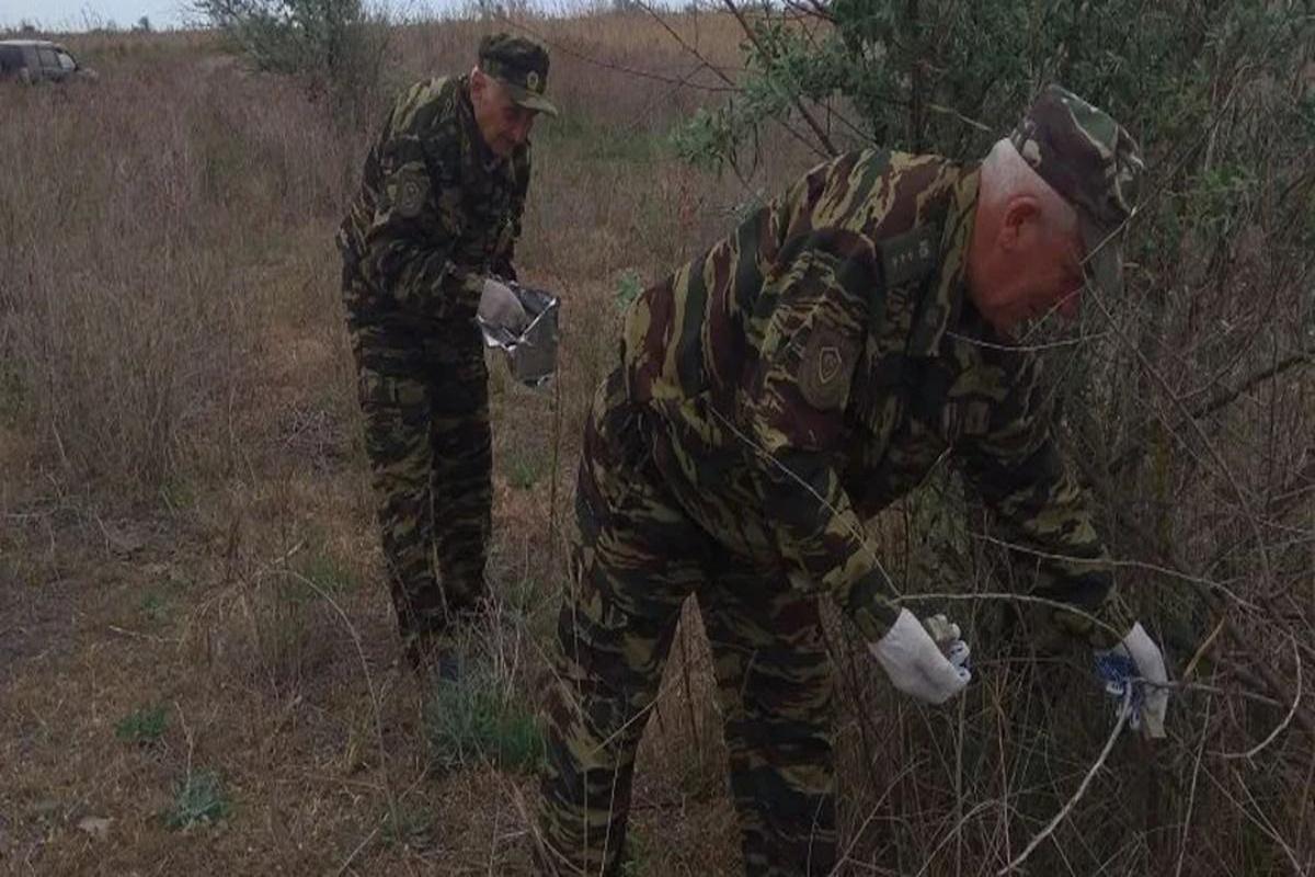 В Астраханской области приступили к вакцинации диких животных от бешенства