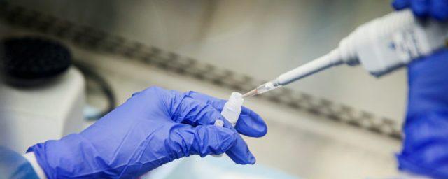 Ученые Рокфеллеровского университета создали неинфекционный SARS-CoV-2 для исследований
