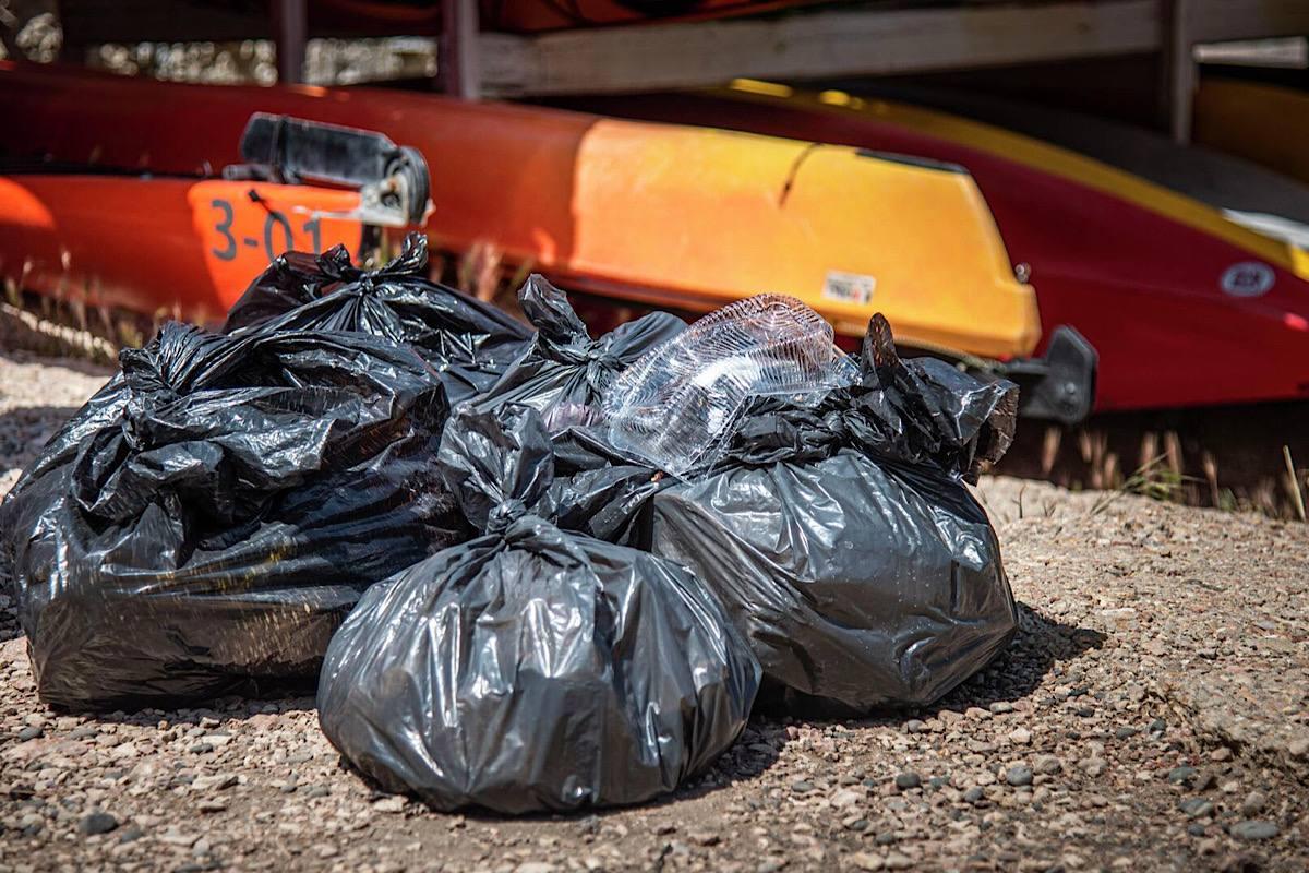 Водитель перепутал боксера-чемпиона с мусорным мешком и задавил насмерть