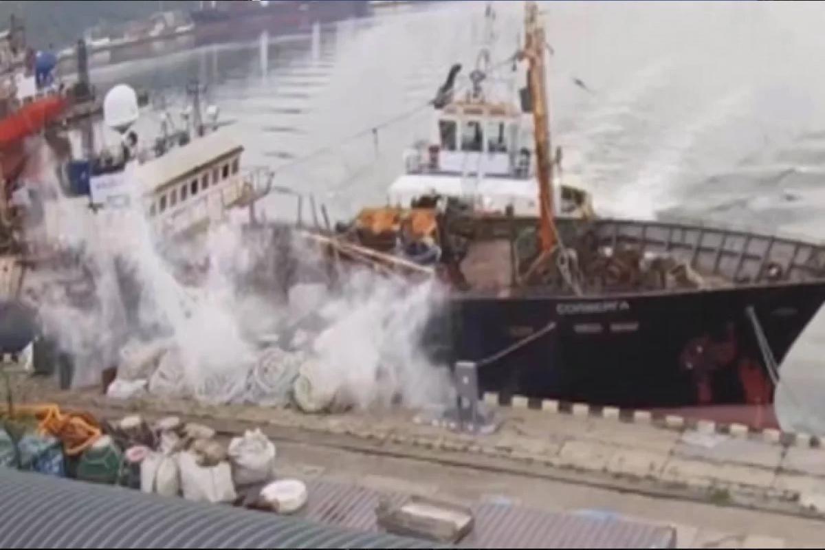 Стали известны подробности столкновения кораблей в порту Находки