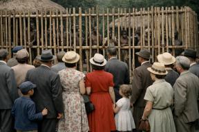 «Воскресный аттракцион» для всей семьи: как Европа ходила смотреть на людей в зоопарках