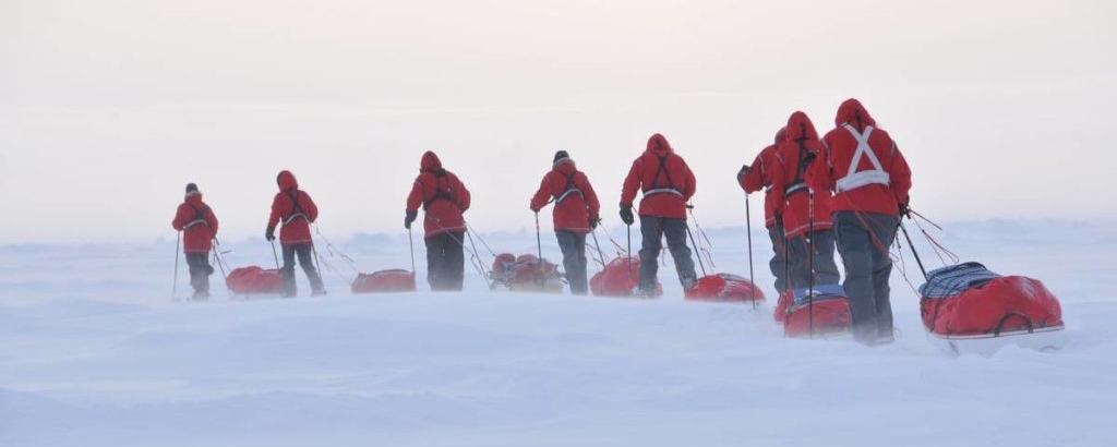 Мозг полярников за 14 месяцев в Антарктиде уменьшился