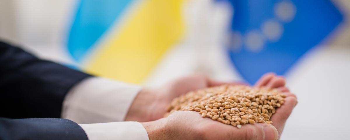 RMF: представитель Украины обвинил Польшу в препятствовании транзиту зерна