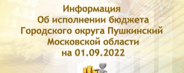 Администрация Пушкинского городского округа отчиталась об исполнении бюджета