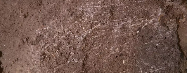 Ученые нашли древние кровати, которым 227 тысяч лет