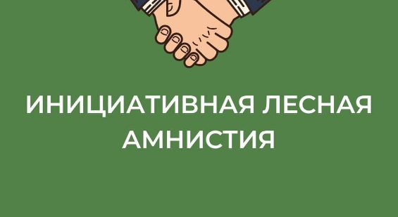 В Подмосковье начато инициативное амнистирование участков по границам лесничеств