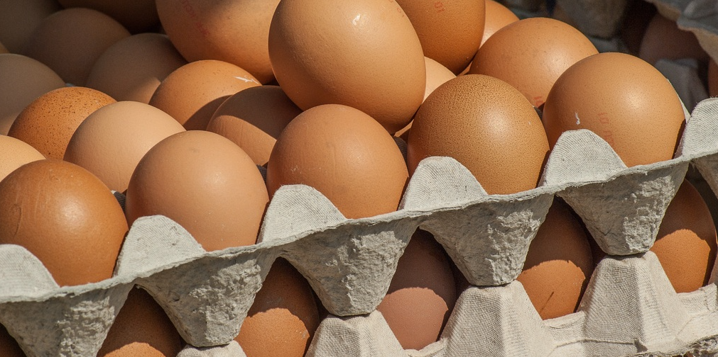 В Саратове увеличат количество яиц, продаваемых на Театральной площади на ярмарках