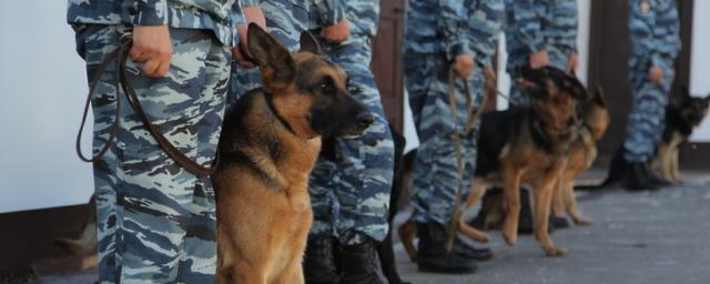 СМИ: В автобусе в Москве обнаружили самодельное взрывное устройство