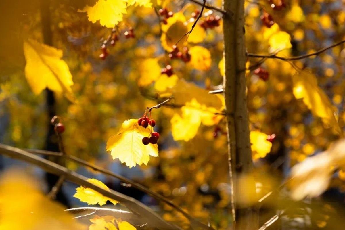 Осенняя хандра: как справиться и не поддаться унынию?