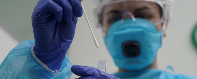 За последние сутки в России выявлены 11 198 заразившихся коронавирусом