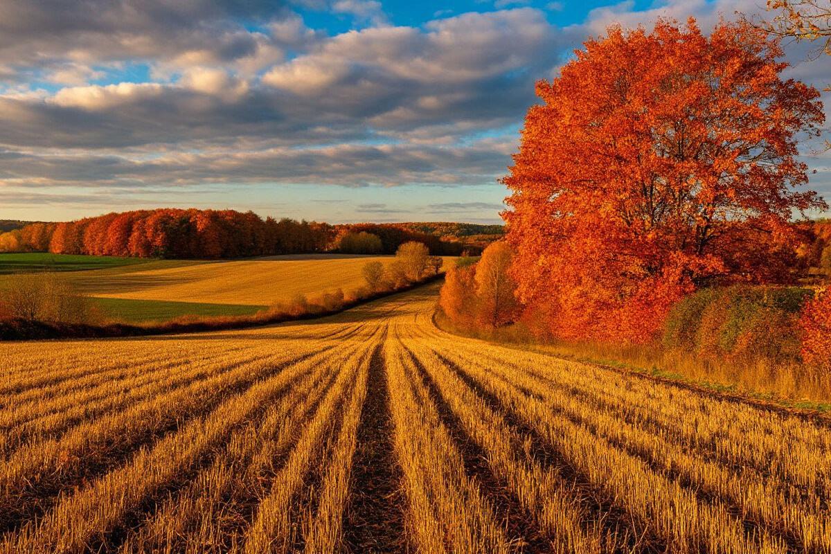 Чувашские аграрии наращивают экспортные поставки растительной продукции за рубеж