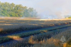 В Поныровском районе Курской области сгорело 80 гектаров ячменя